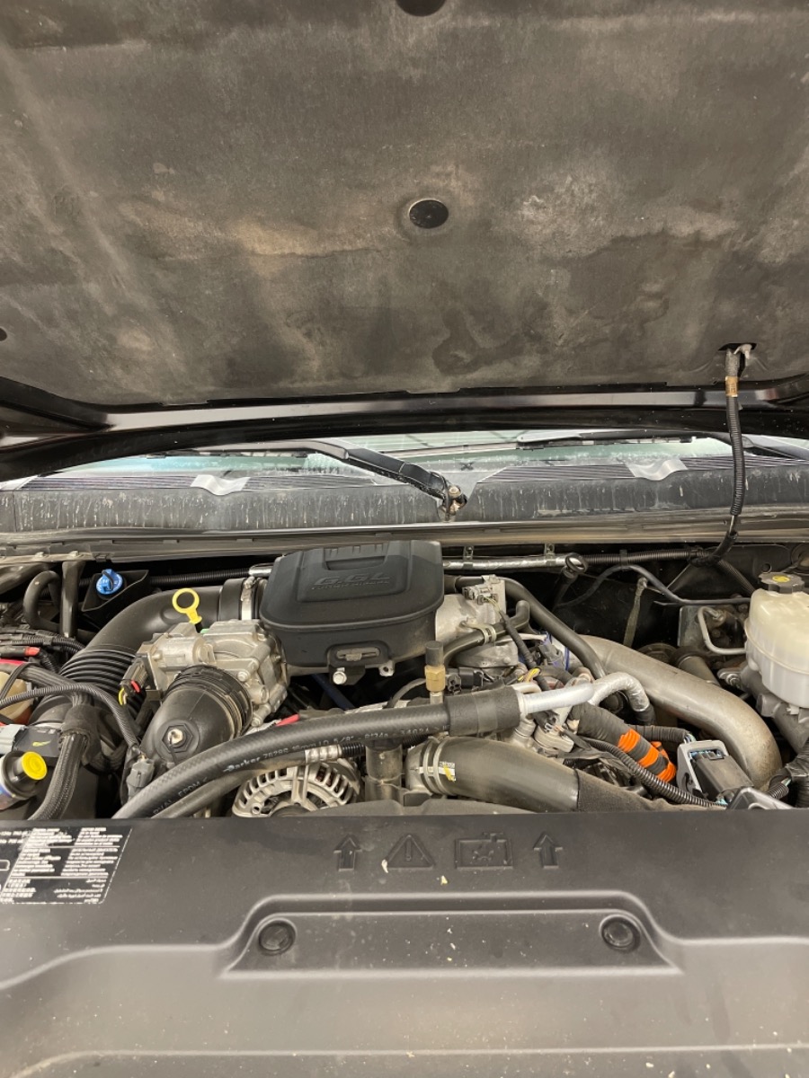 Engine Bay