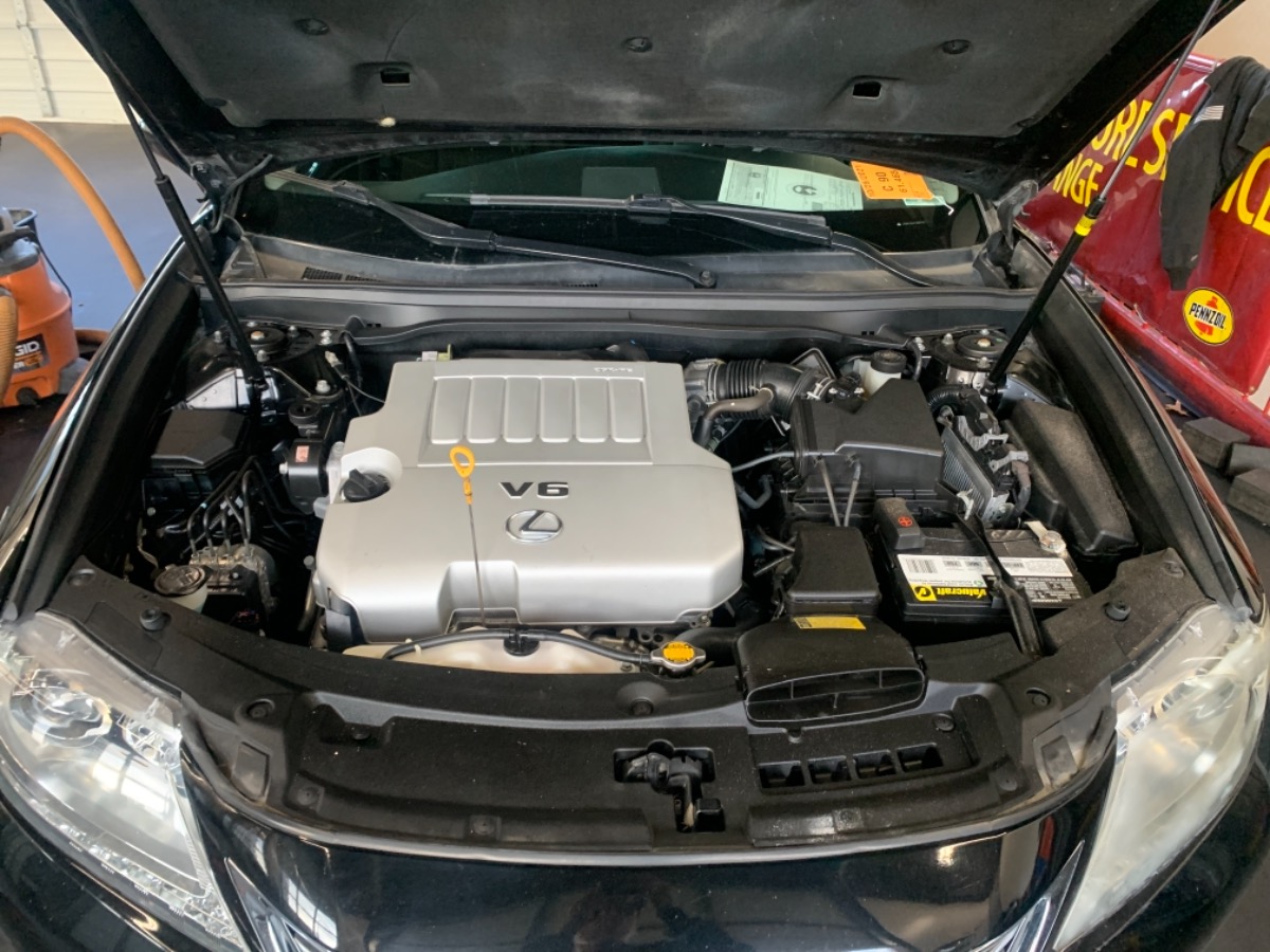Engine Bay
