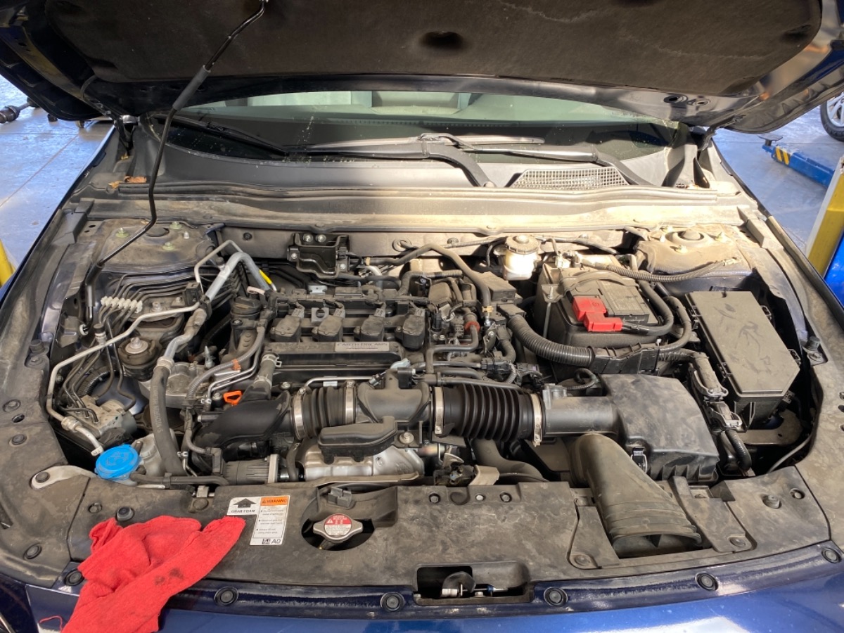 Engine Bay