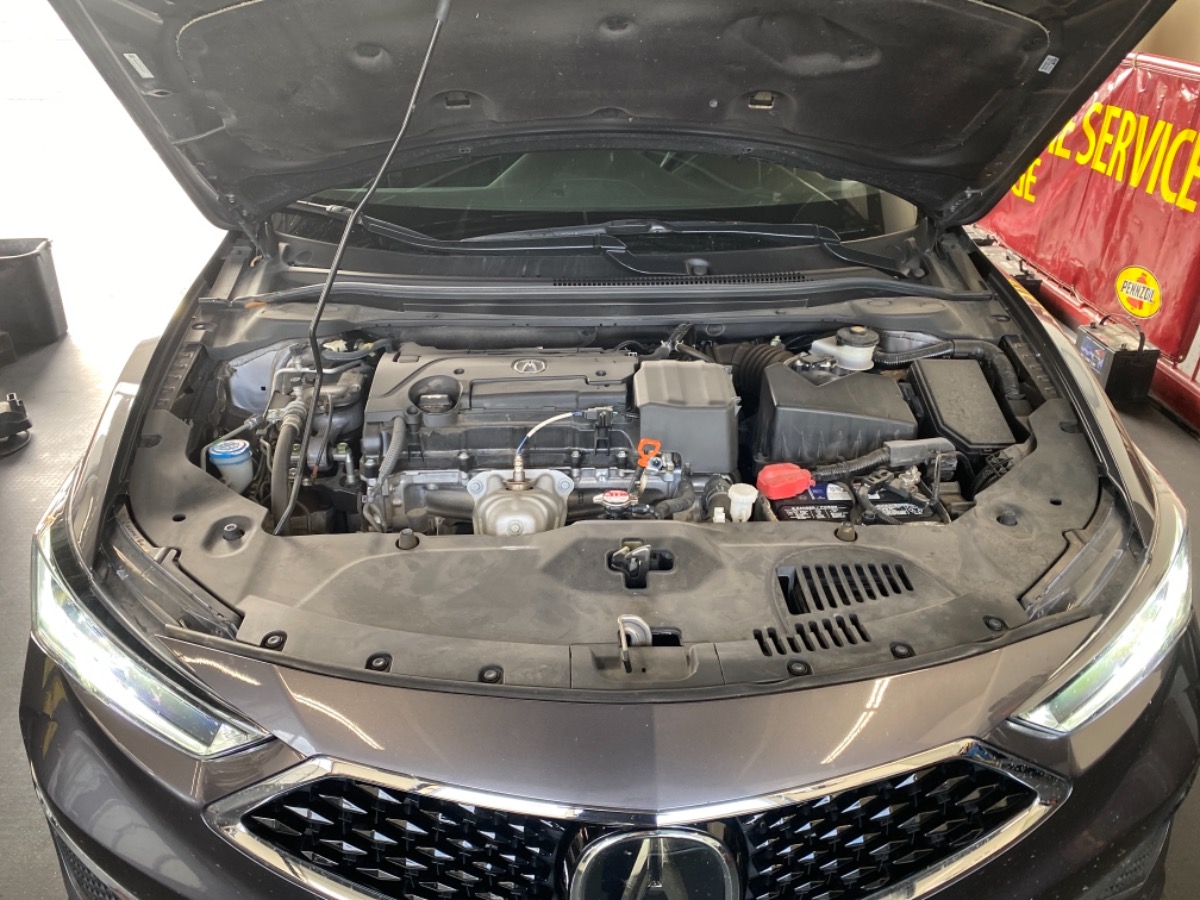 Engine Bay