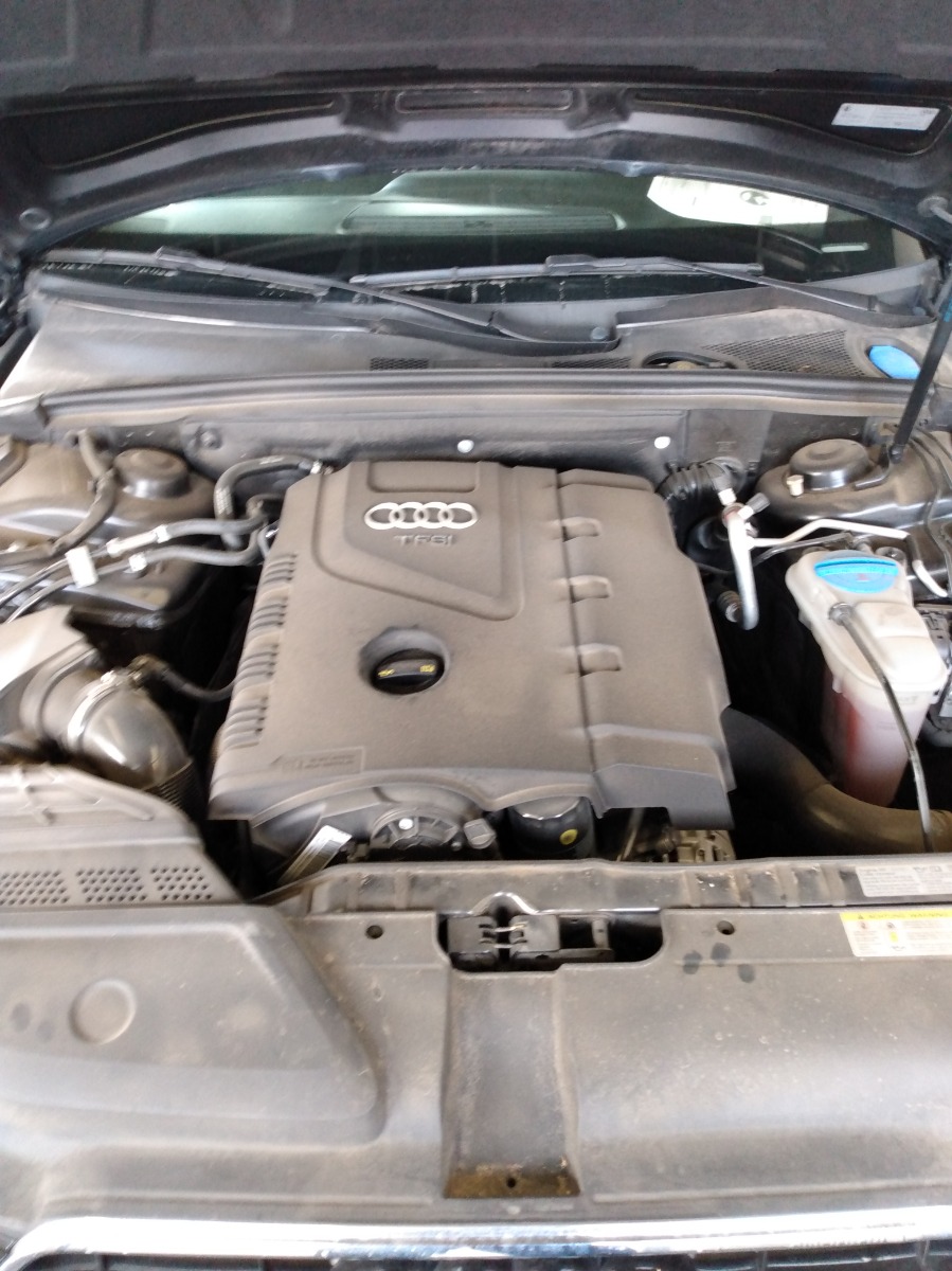 Engine Bay