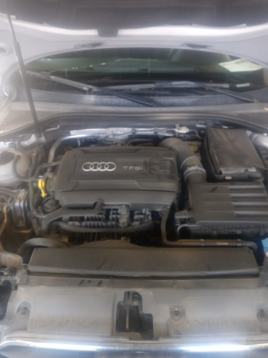 Engine Bay