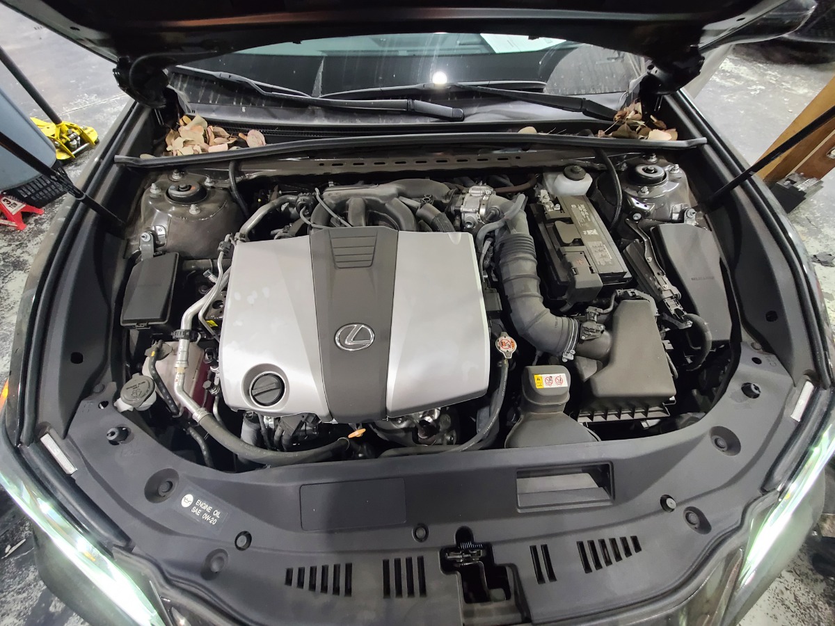 Engine Bay