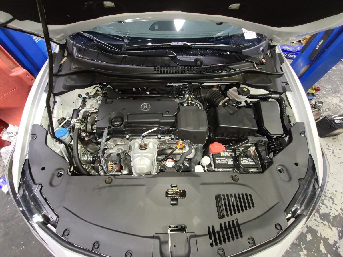 Engine Bay