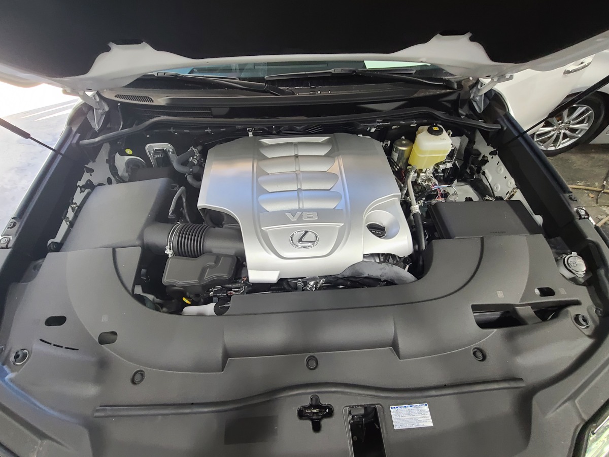 Engine Bay