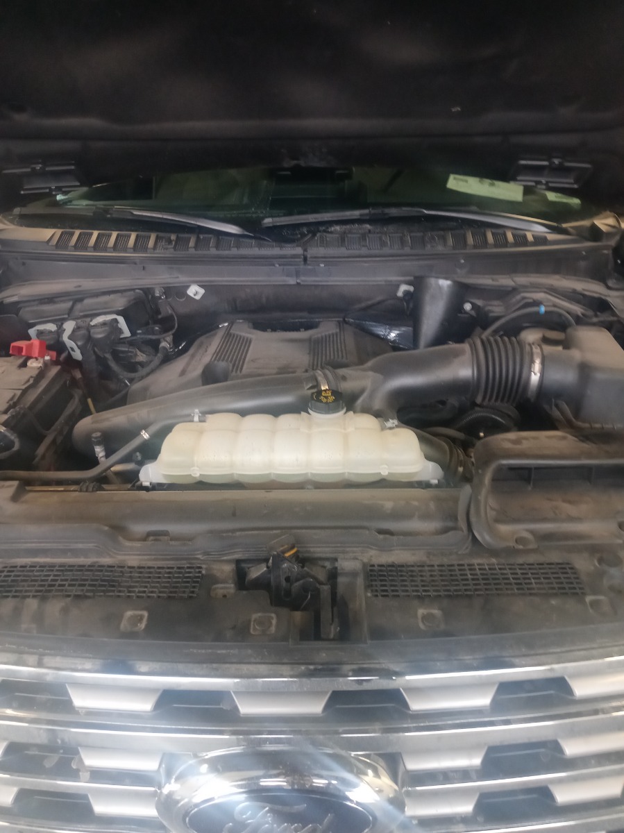 Engine Bay