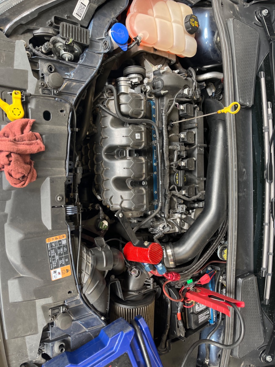 Engine Bay