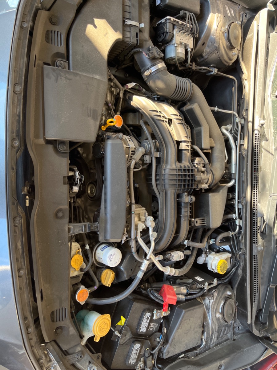 Engine Bay