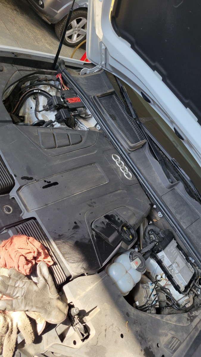 Engine Bay
