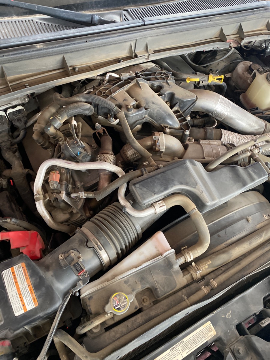 Engine Bay