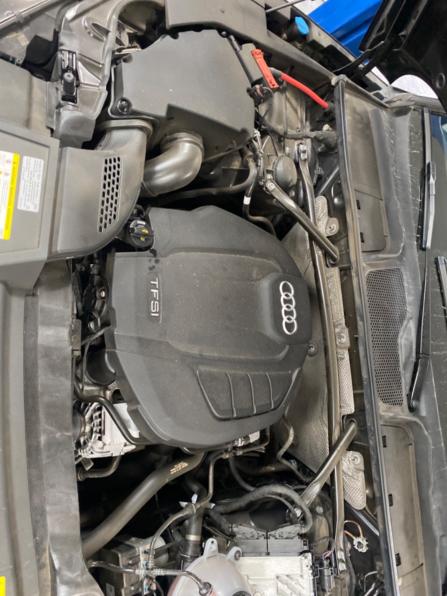 Engine Bay