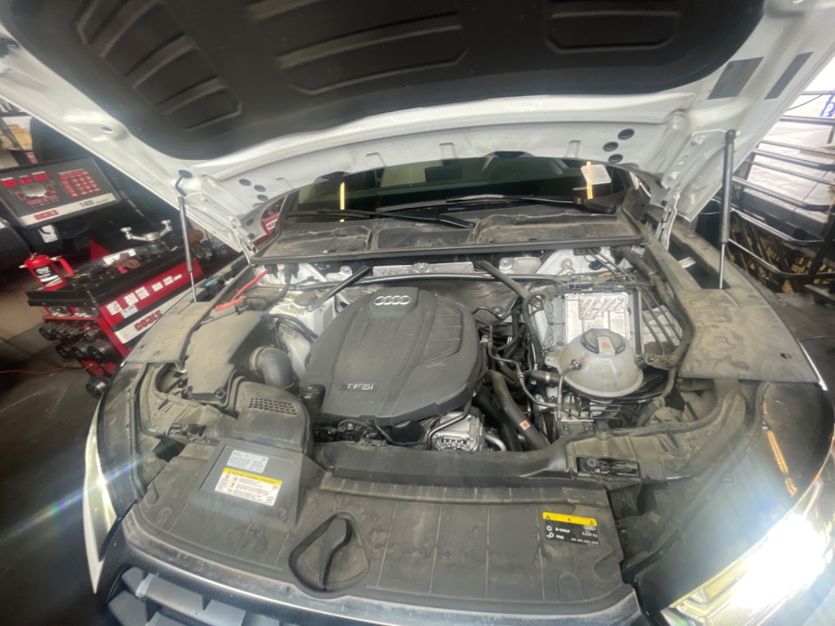 Engine Bay
