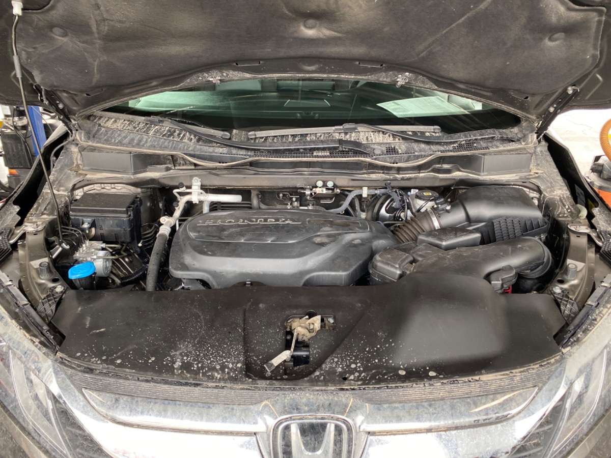 Engine Bay