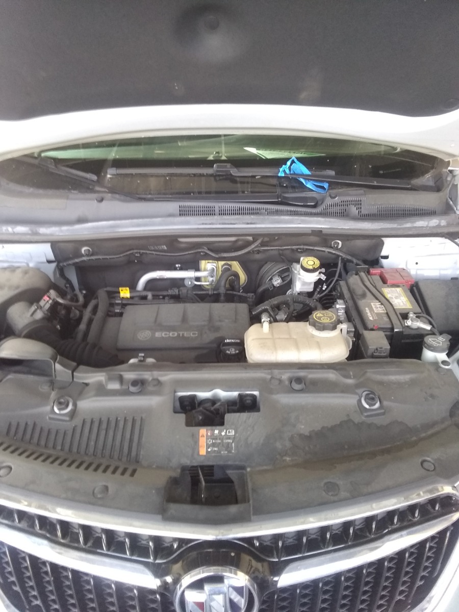 Engine Bay