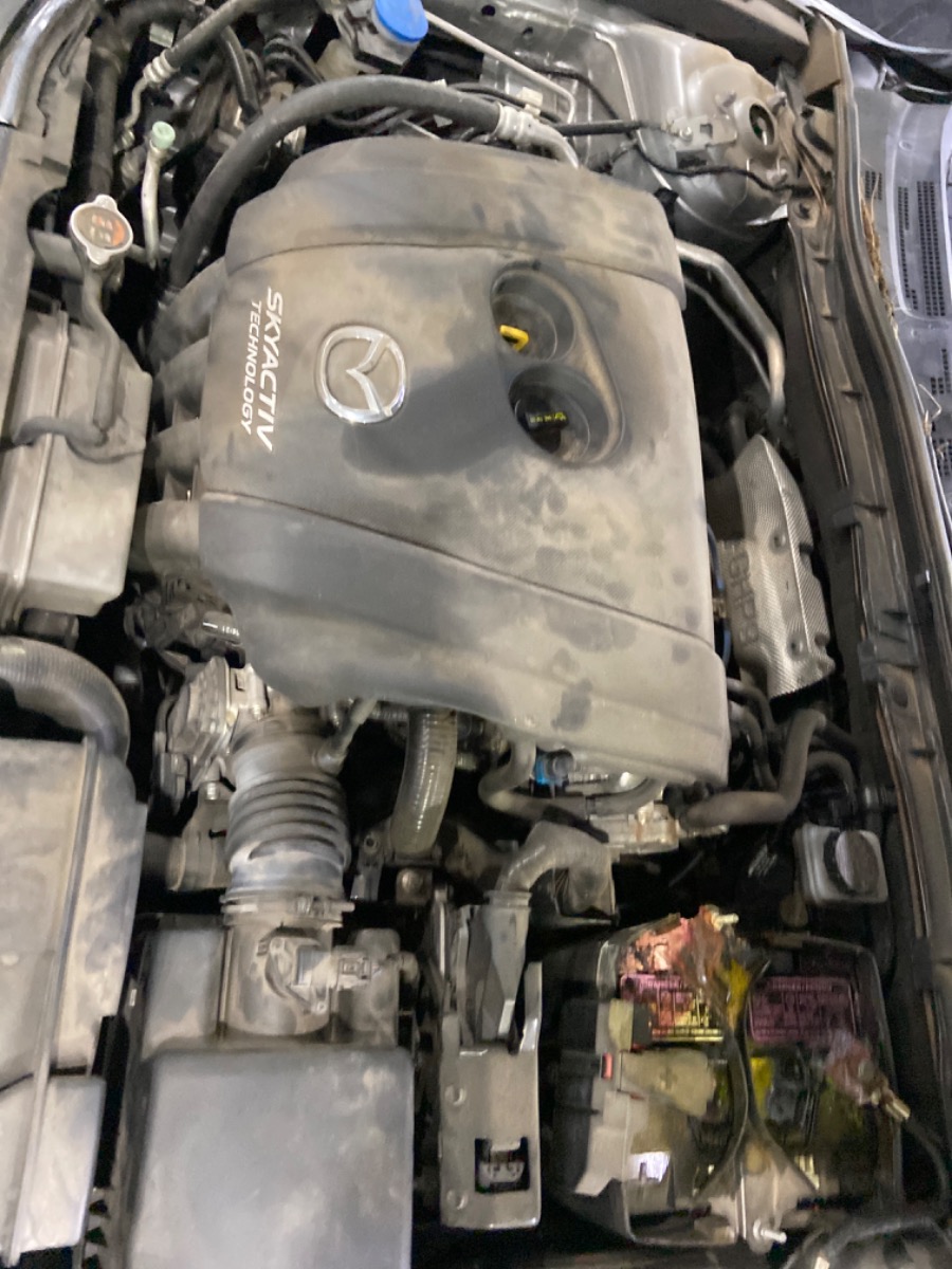 Engine Bay