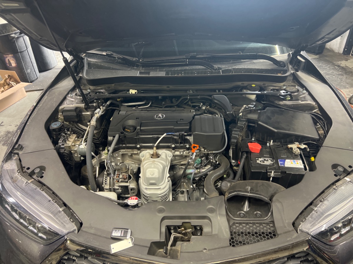 Engine Bay