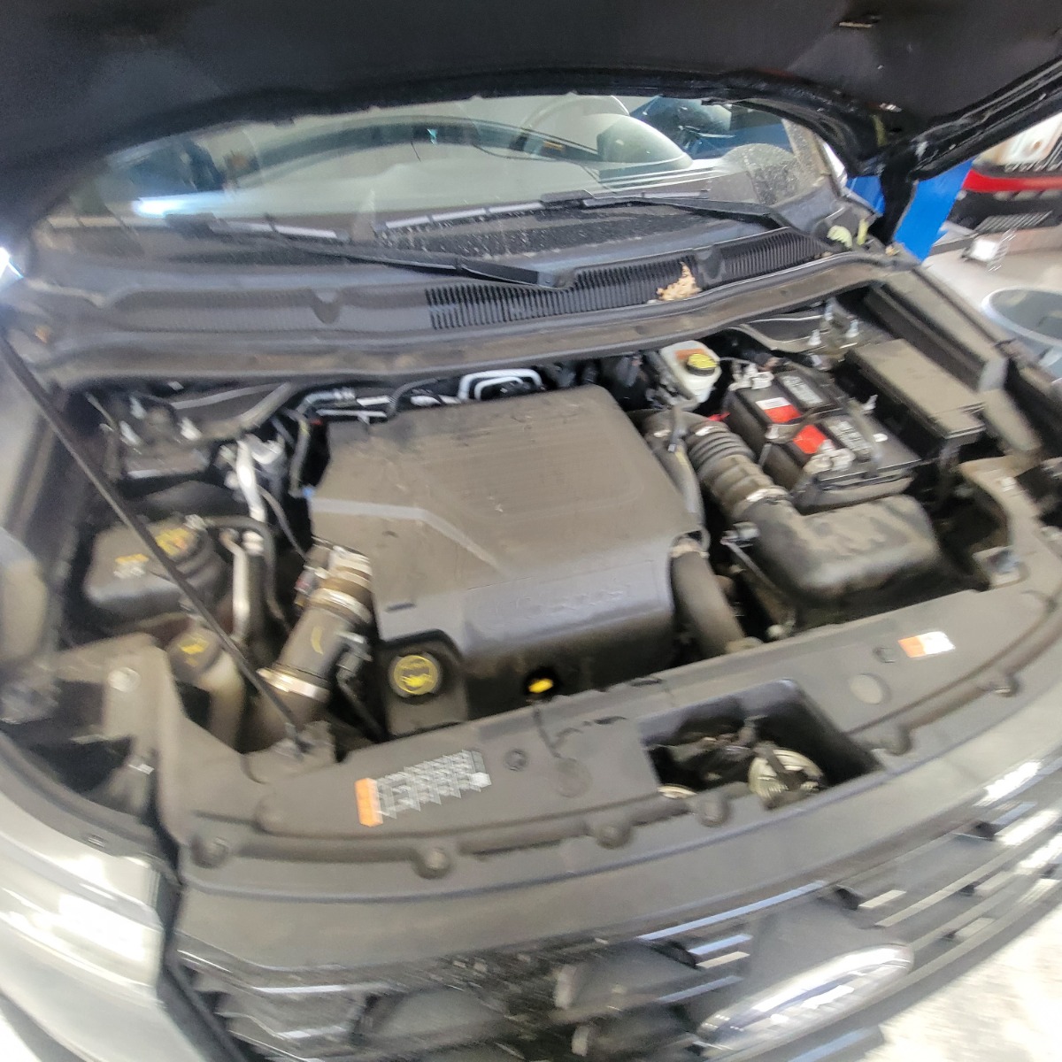 Engine Bay