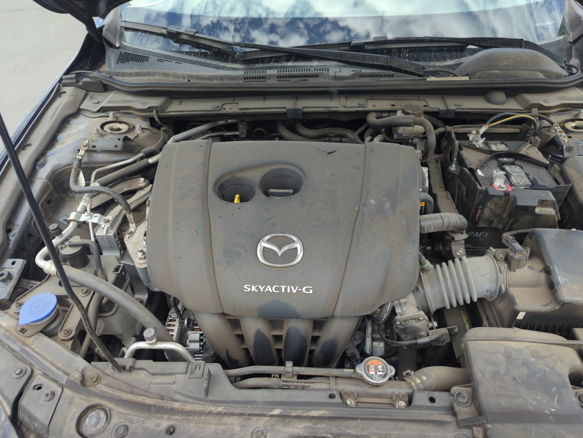 Engine Bay