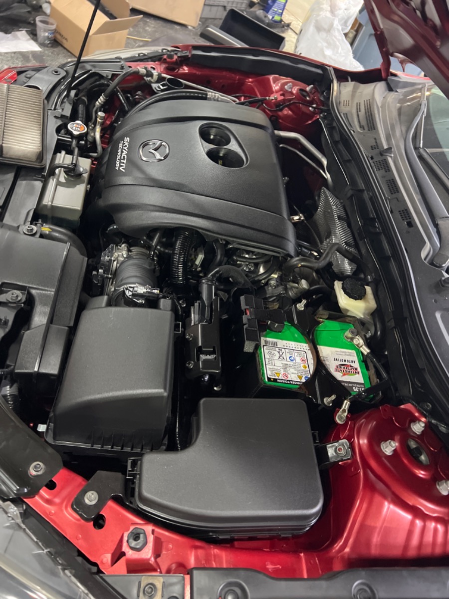 Engine Bay
