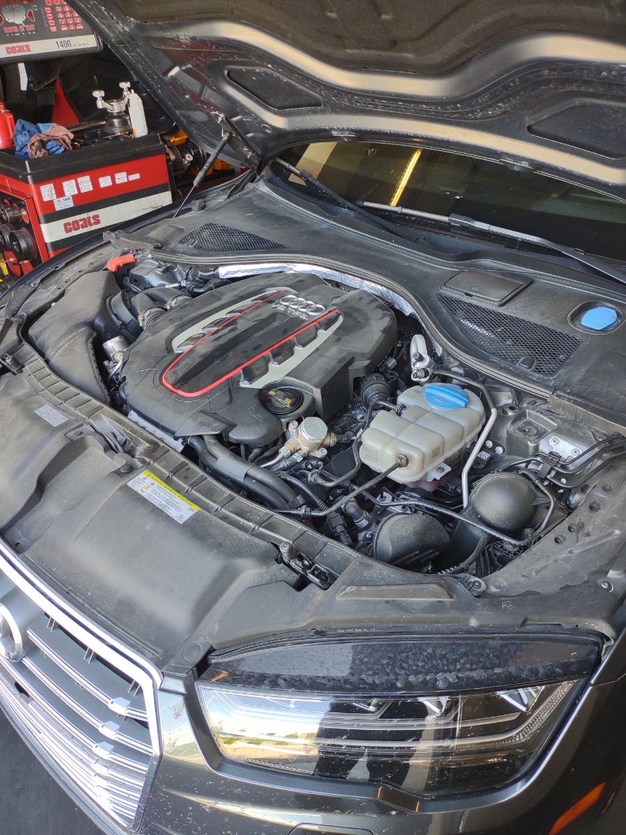 Engine Bay