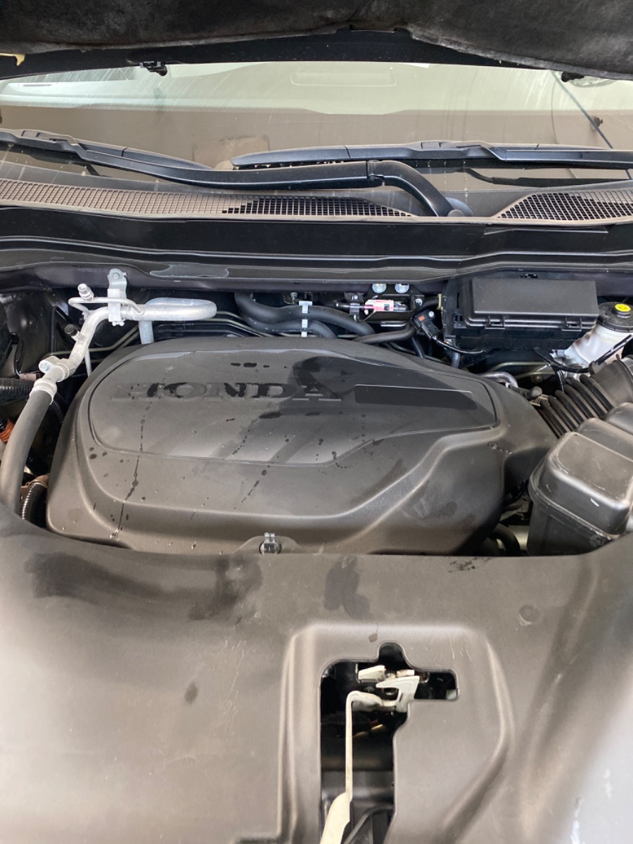Engine Bay