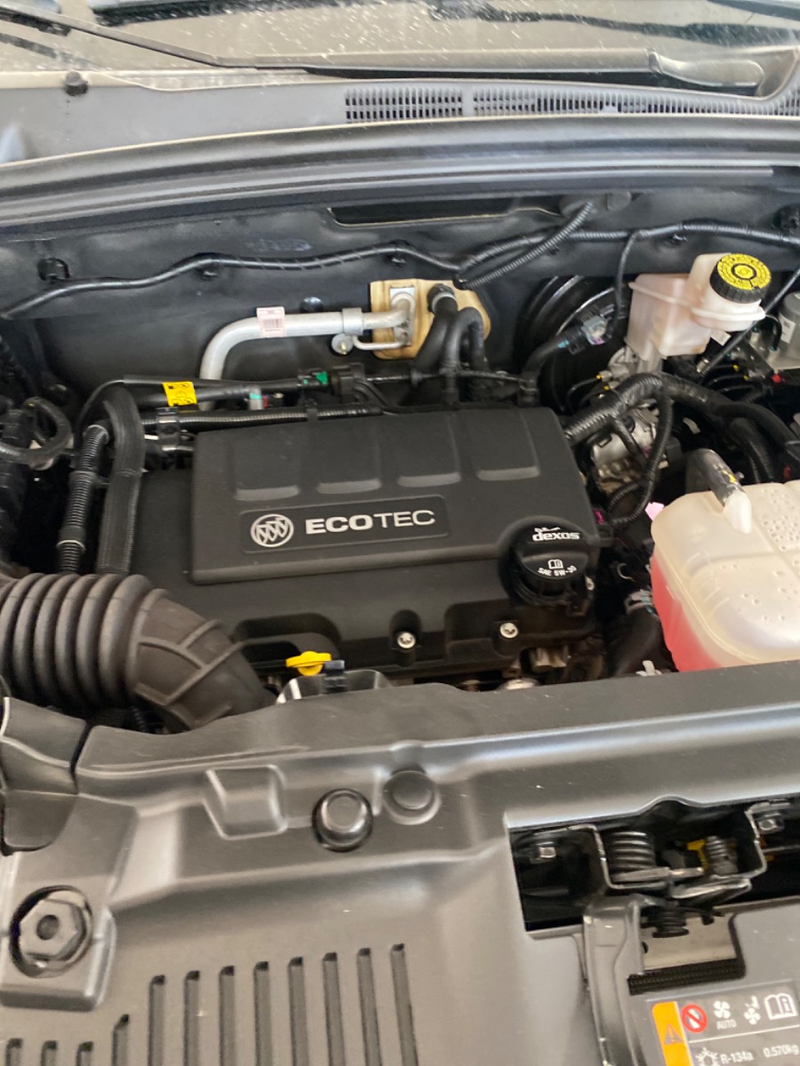 Engine Bay