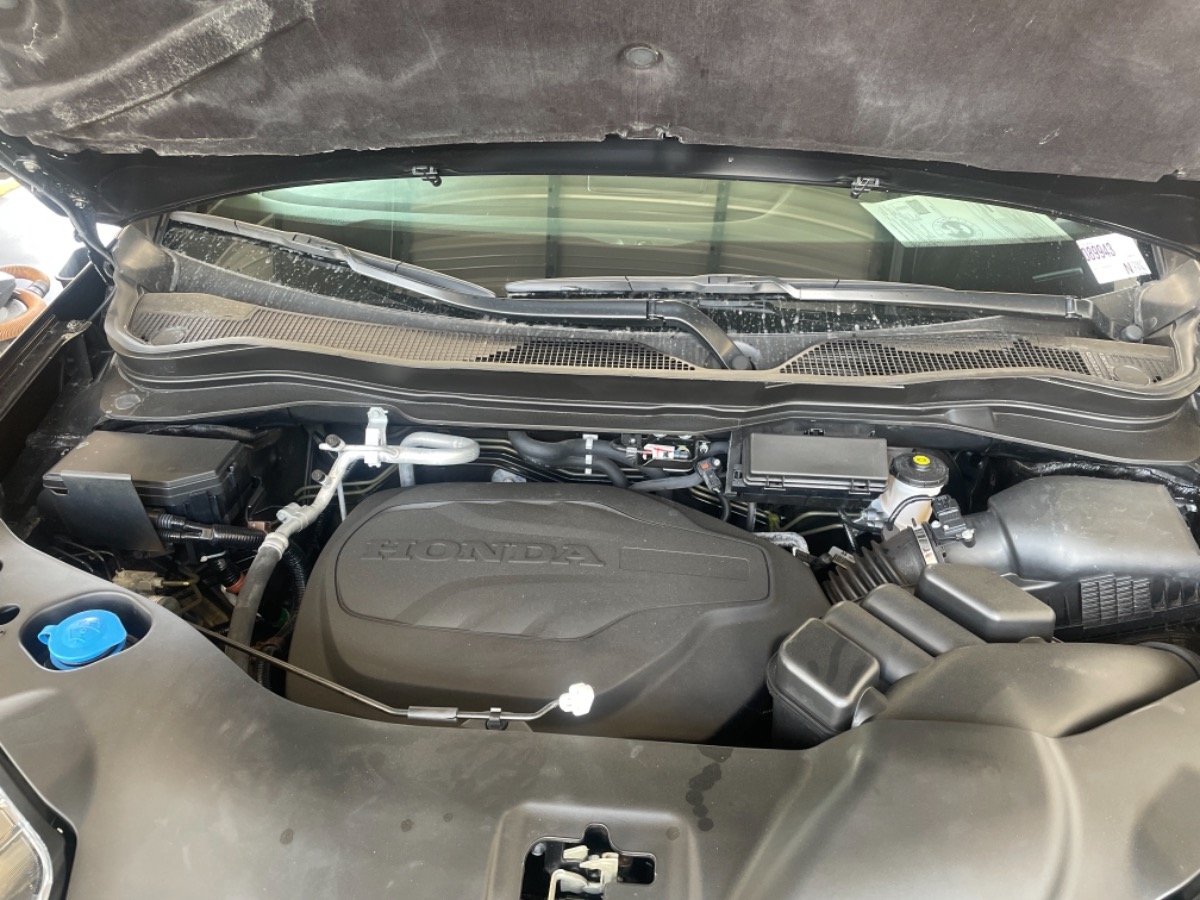 Engine Bay