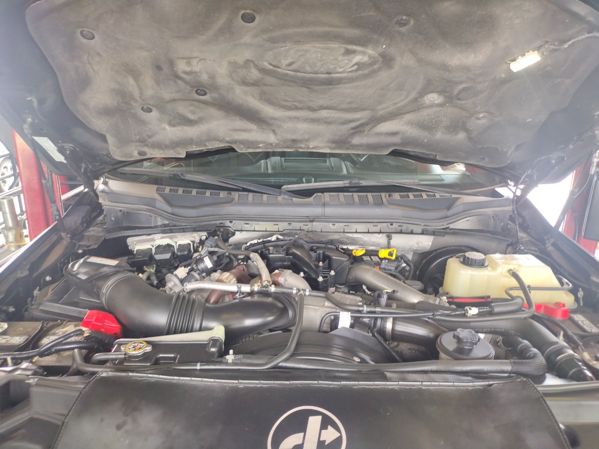 Engine Bay