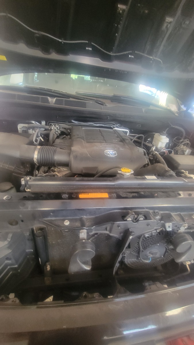 Engine Bay